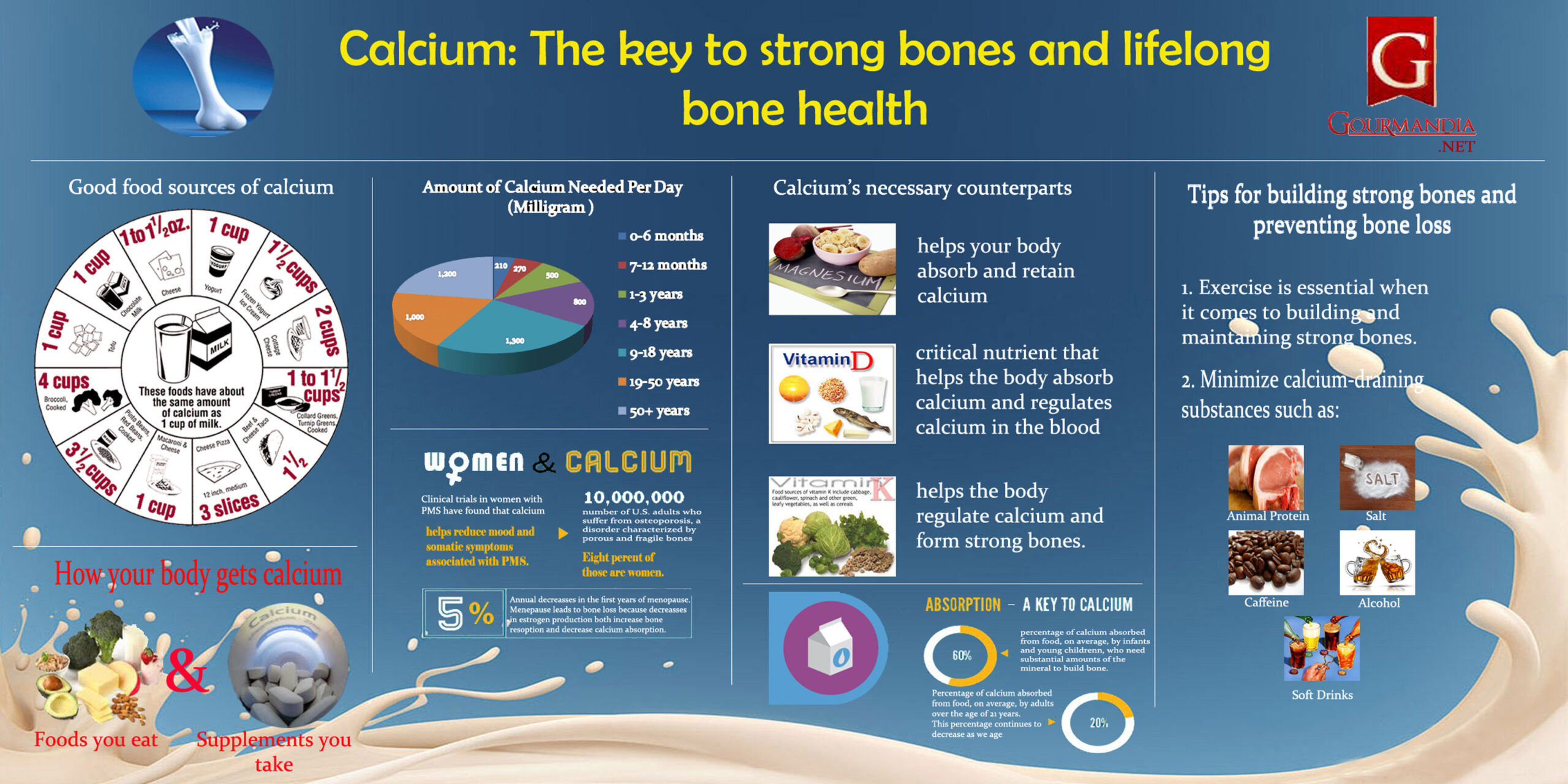 Infographic showing how calcium is the key to strong bones and lifelong bone health
