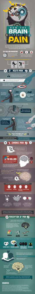 Infographic shows the steps a brain goes through during an injury to produce a pain response. It shows the difference between acute and chronic pain.